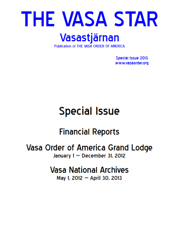 Vasa Star Online 2013 Financial Report